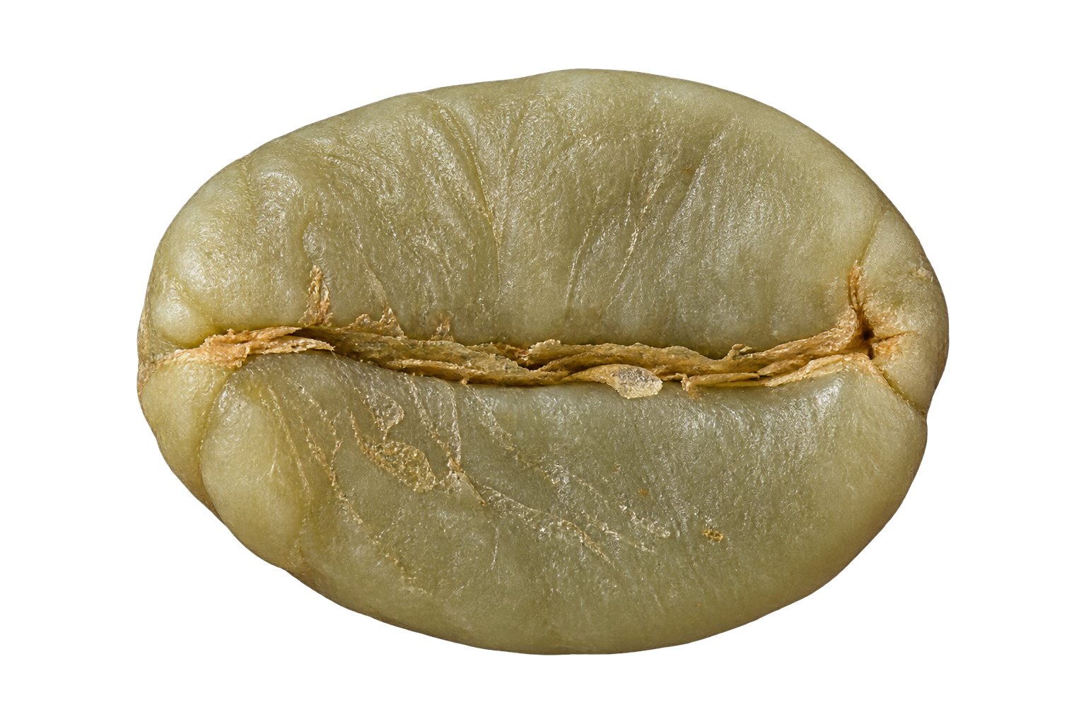 WASHED ROBUSTA green coffee bean